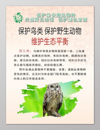 维护生态平衡猫头鹰保护野生动物海报